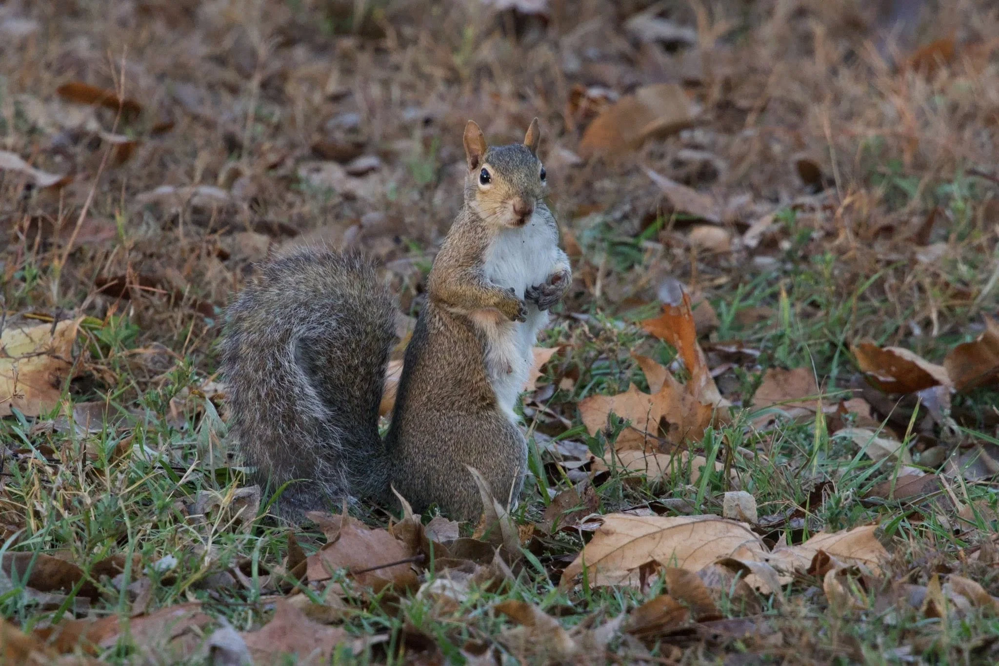 Photographer: Tina Brazzeal