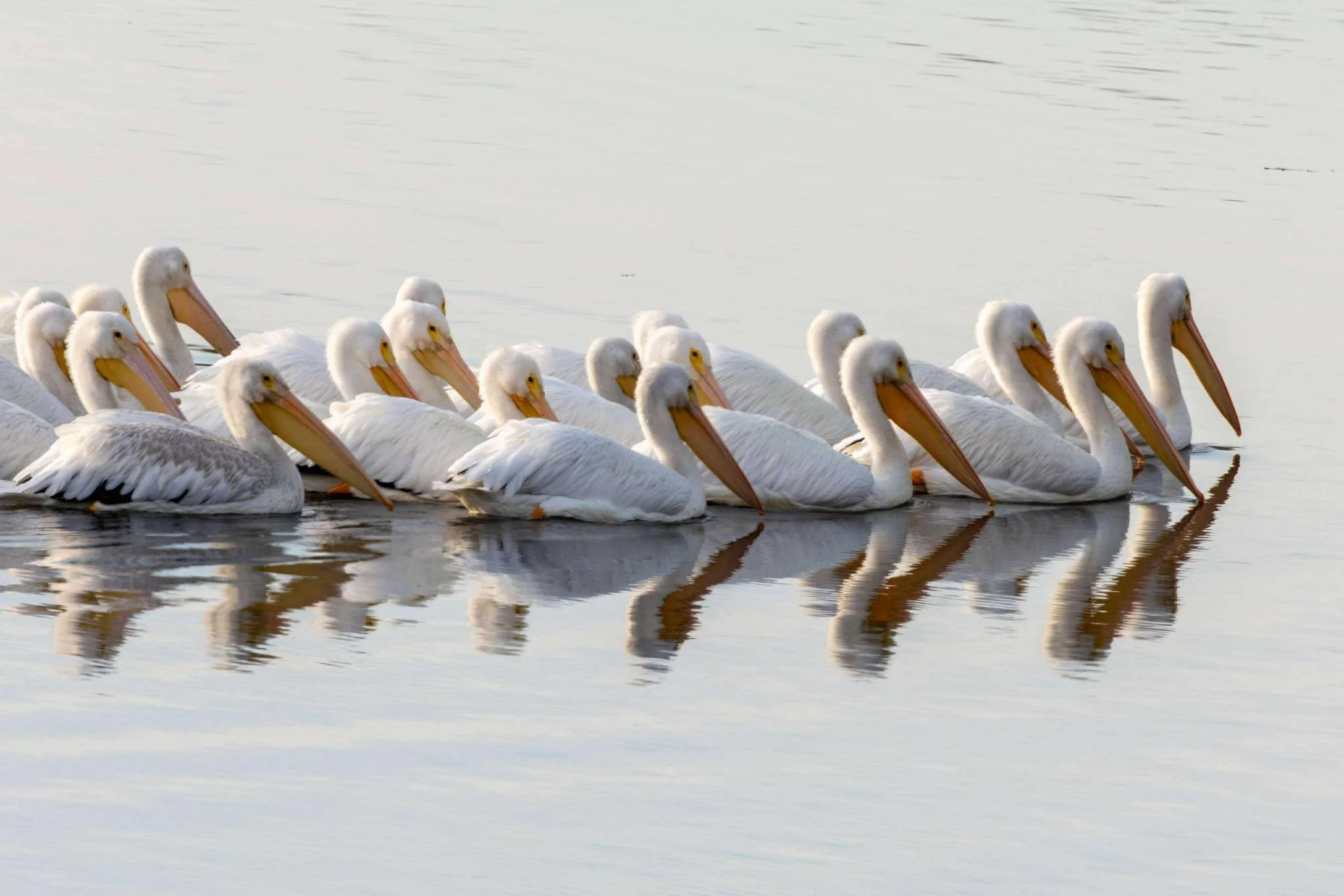 Photographer: Tina Brazzeal