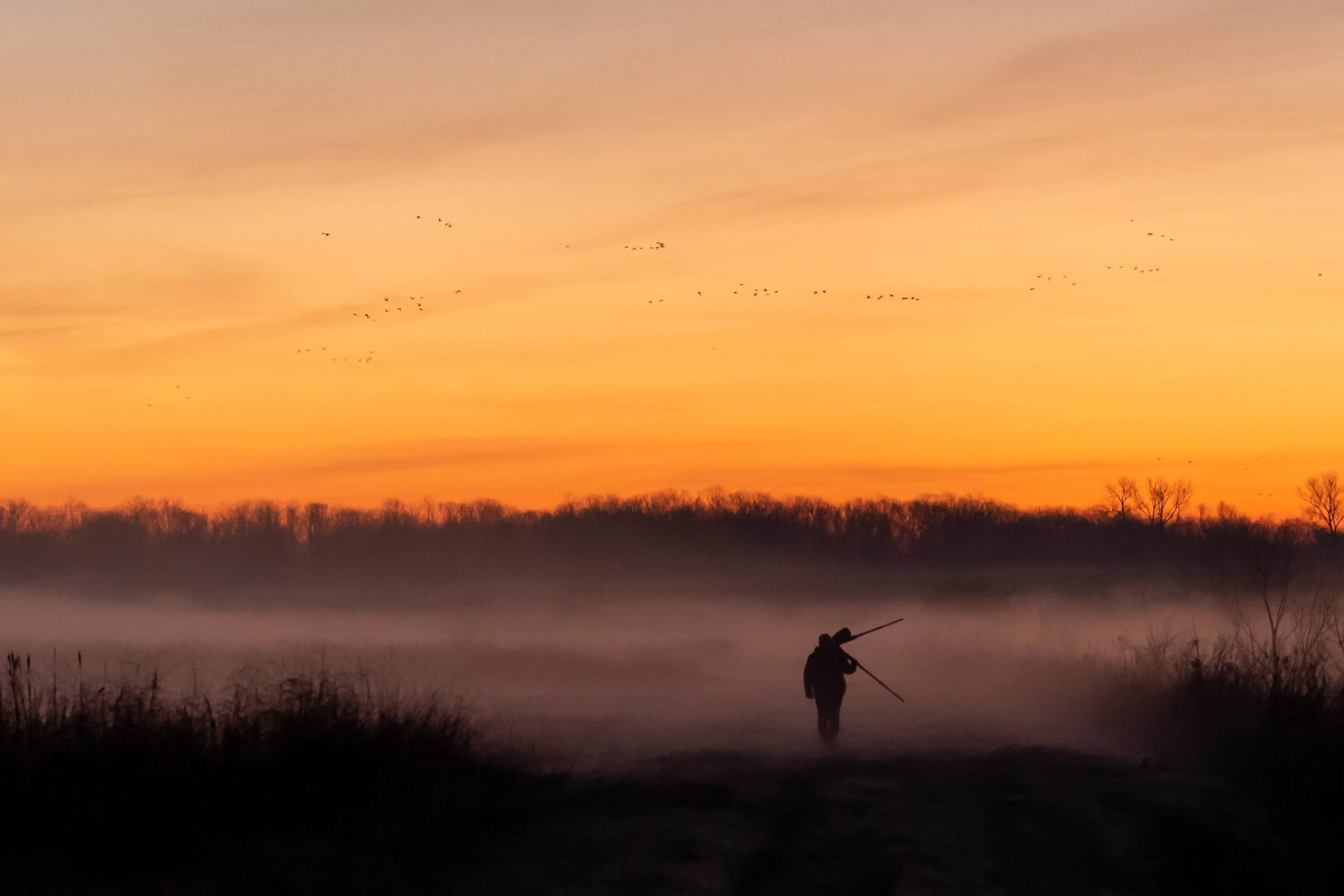 Photographer: Dot Rambin