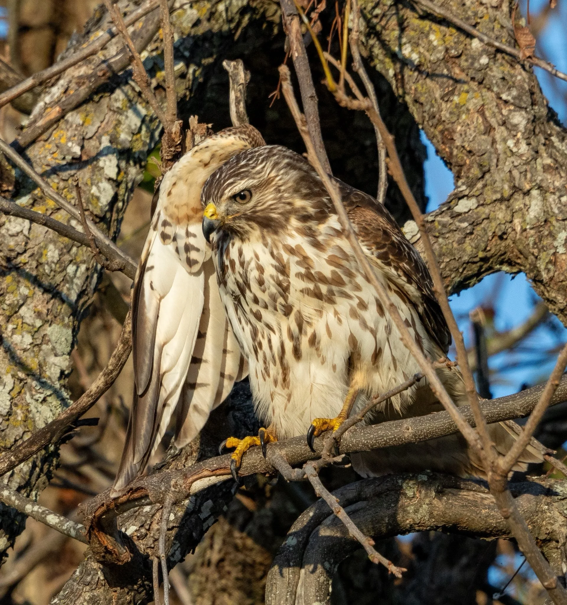 Photographer: Tina Brazzeal