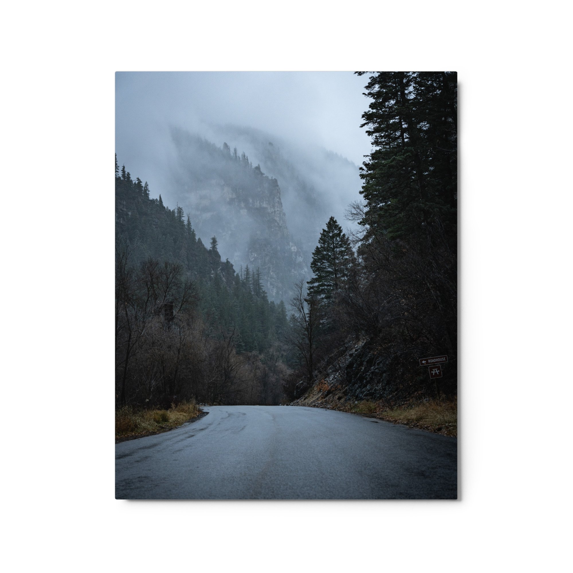 glossy-metal-print-(in)-white-16x20-front-6595f30e598cf.jpg