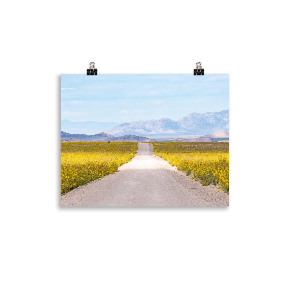 premium-luster-photo-paper-poster-(in)-11x14-transparent-65972363524a5.jpg