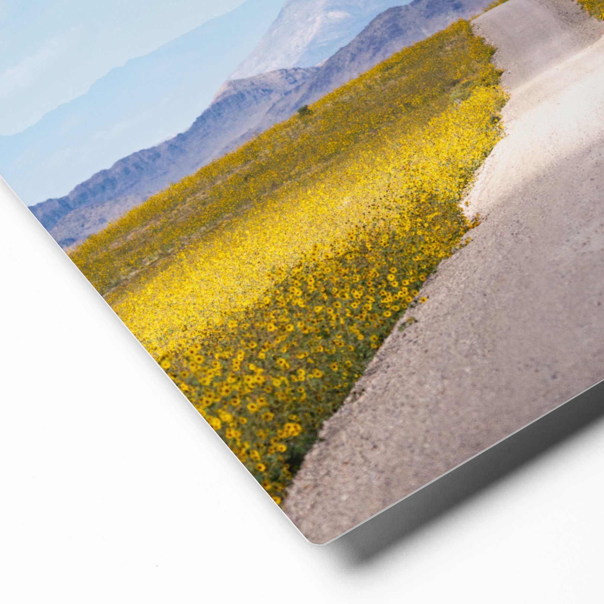 glossy-metal-print-(in)-white-8x10-product-details-65972badb88ec.jpg