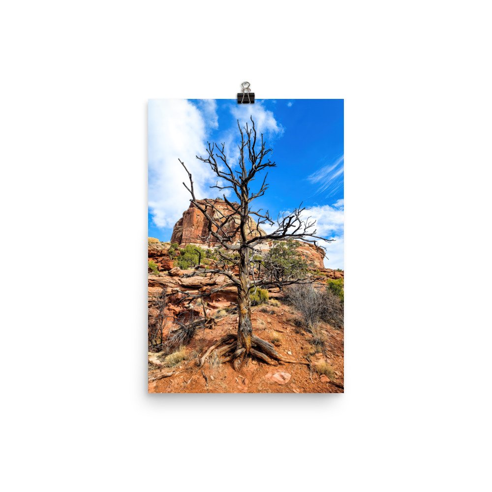enhanced-matte-paper-poster-(in)-12x18-transparent-6597314530d9d.jpg