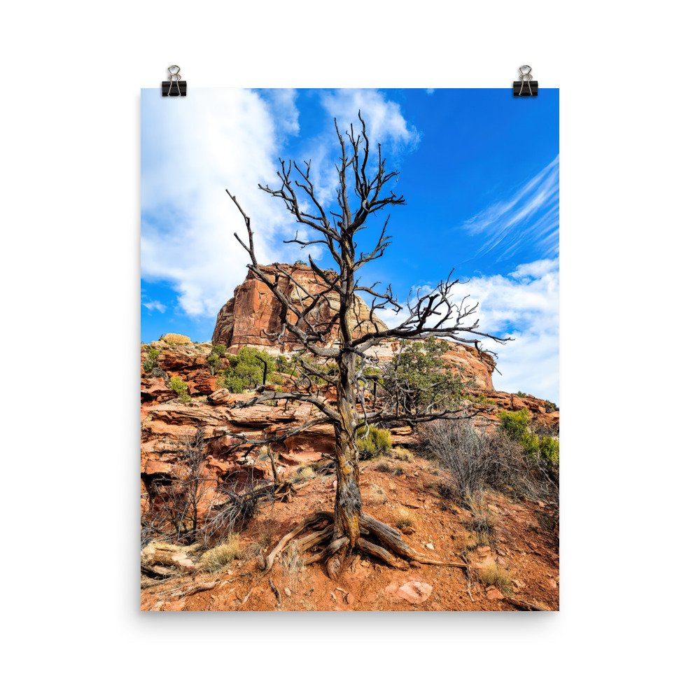 enhanced-matte-paper-poster-(in)-16x20-transparent-6597314530e7e.jpg