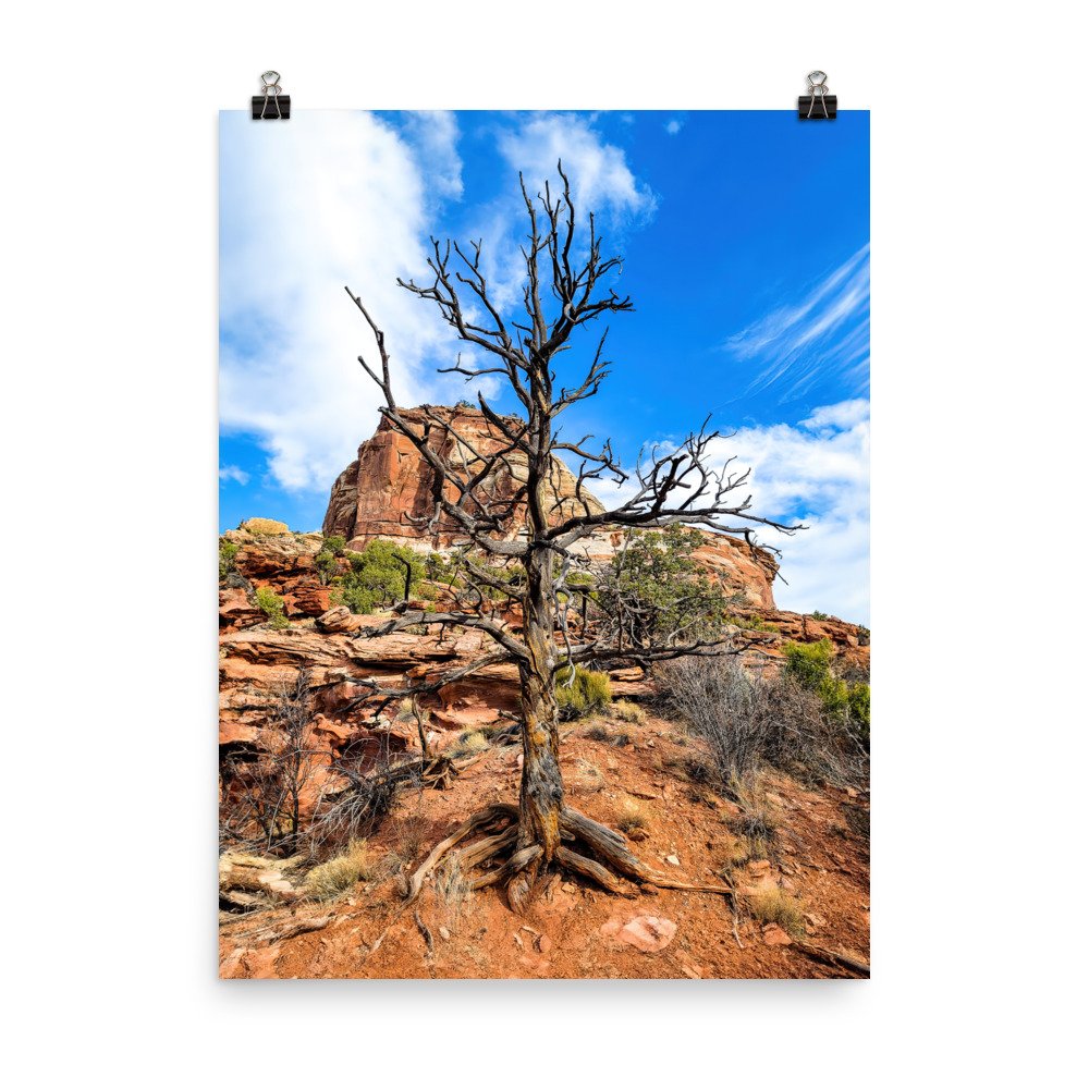 enhanced-matte-paper-poster-(in)-18x24-transparent-6597314530f36.jpg