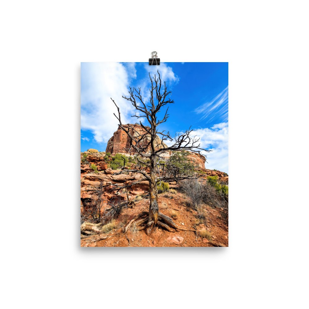 enhanced-matte-paper-poster-(in)-8x10-transparent-659731453105b.jpg