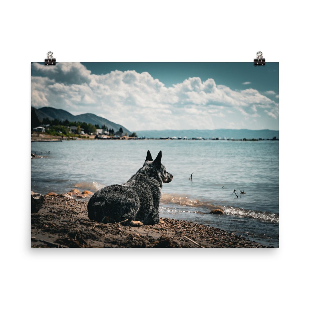 enhanced-matte-paper-poster-(in)-18x24-transparent-65979b0f7a301.jpg