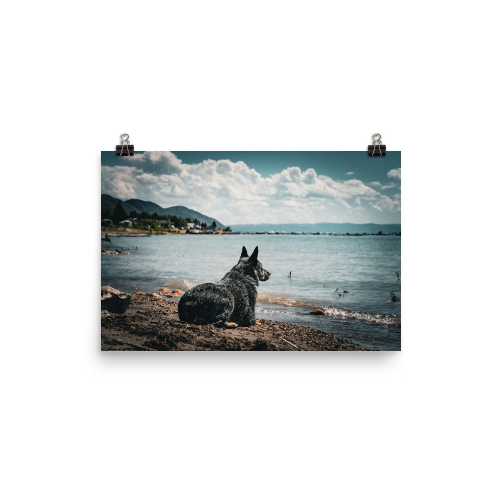enhanced-matte-paper-poster-(in)-12x18-transparent-65979b0f7b4d1.jpg