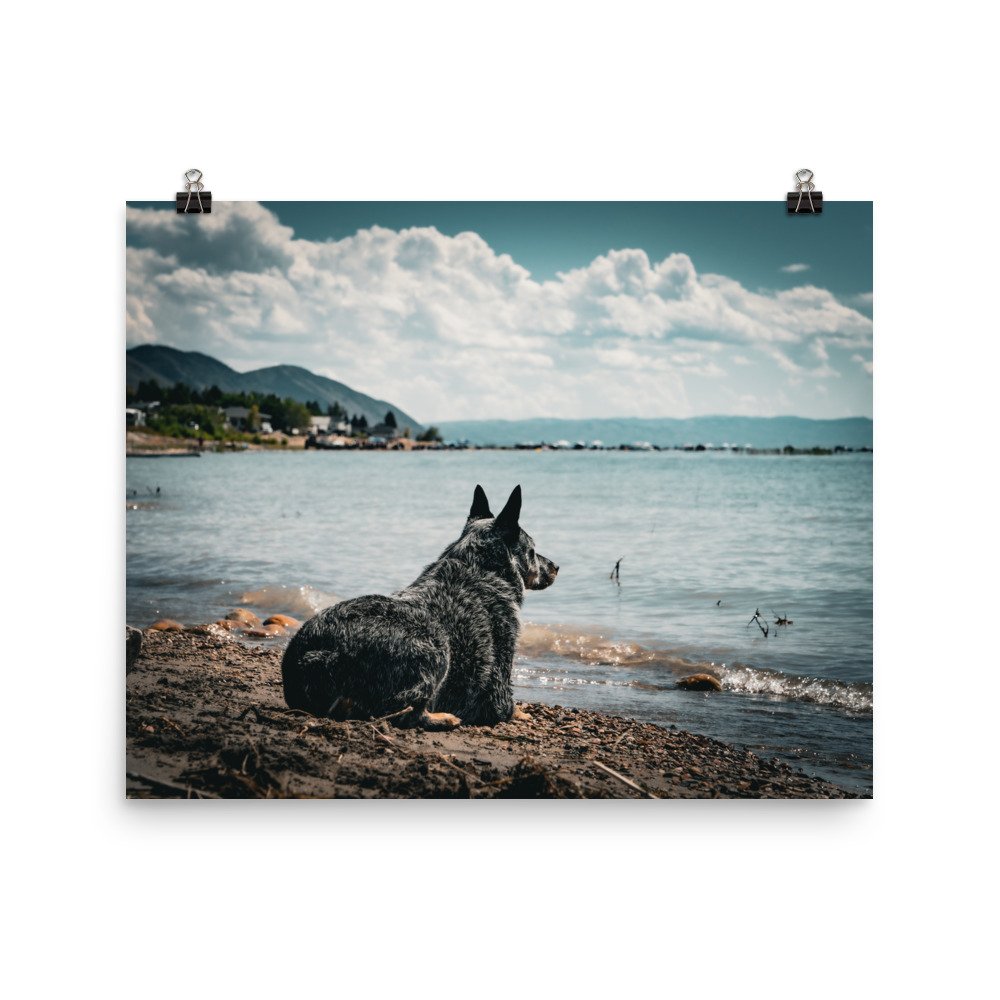 enhanced-matte-paper-poster-(in)-16x20-transparent-65979b0f7b540.jpg