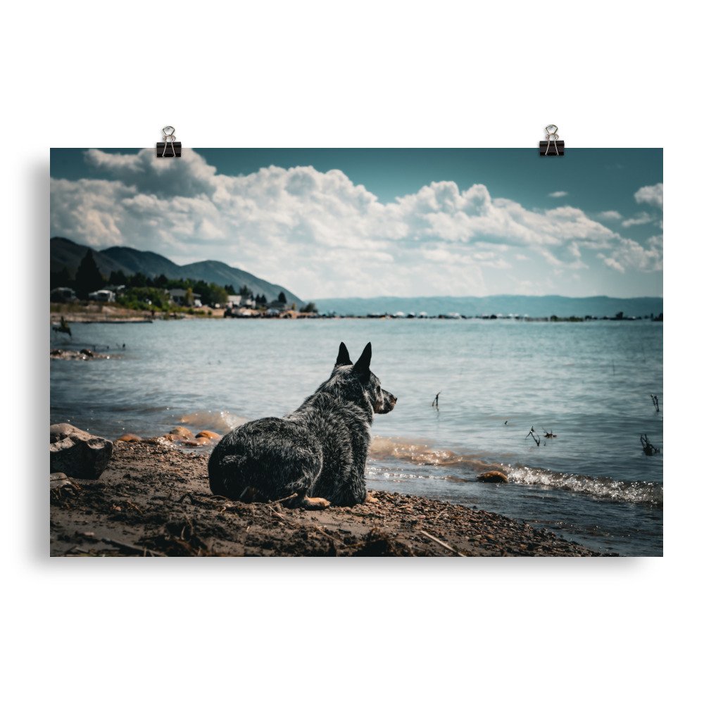 enhanced-matte-paper-poster-(in)-20x30-transparent-65979b0f7b5e8.jpg