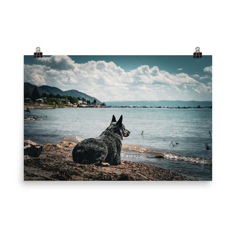 enhanced-matte-paper-poster-(in)-24x36-transparent-65979b0f7b64f.jpg