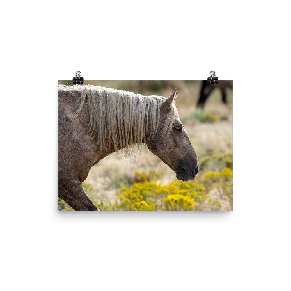 enhanced-matte-paper-poster-(in)-12x16-transparent-65979df6d28d9.jpg
