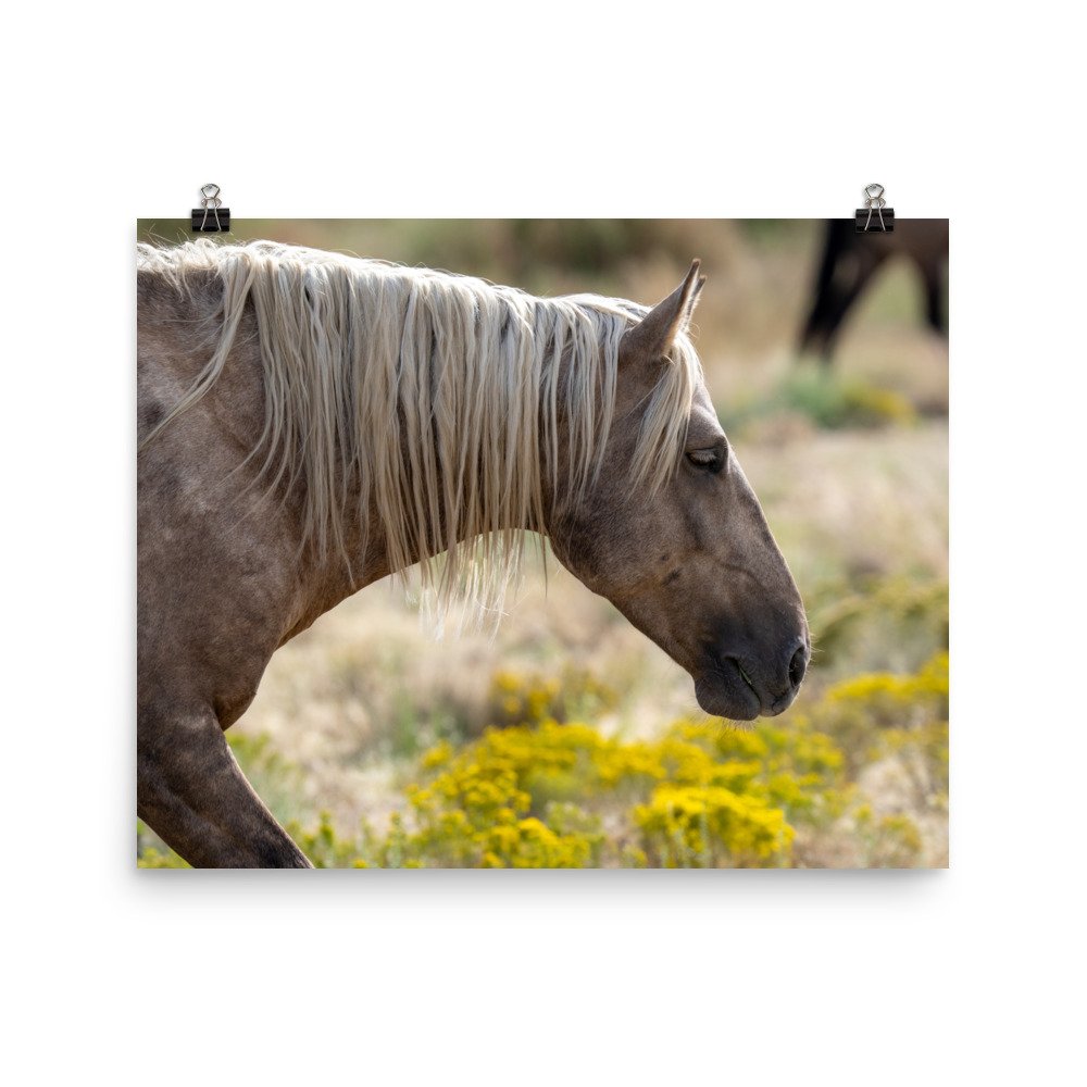 enhanced-matte-paper-poster-(in)-16x20-transparent-65979df6d29bb.jpg