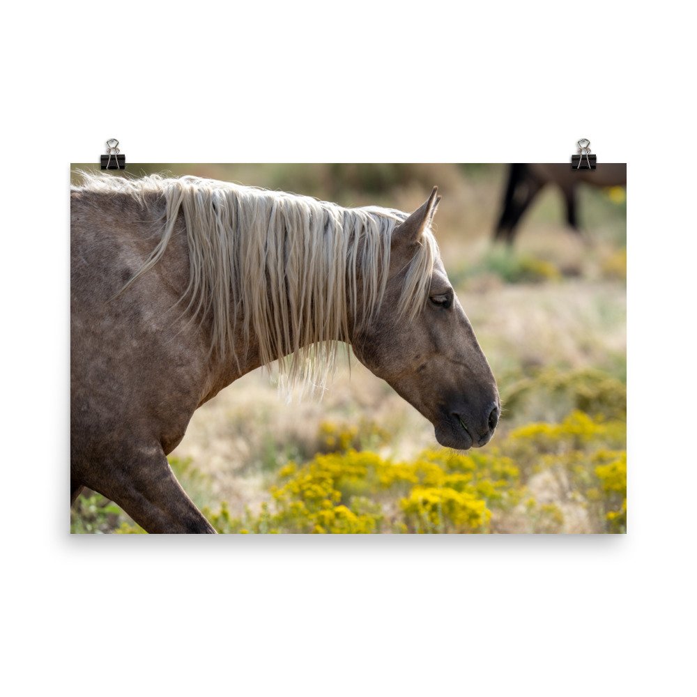 enhanced-matte-paper-poster-(in)-24x36-transparent-65979df6d2b9d.jpg