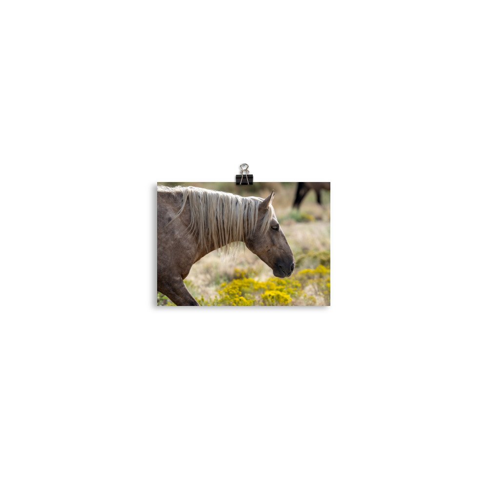 enhanced-matte-paper-poster-(in)-5x7-transparent-65979df6d2c6e.jpg
