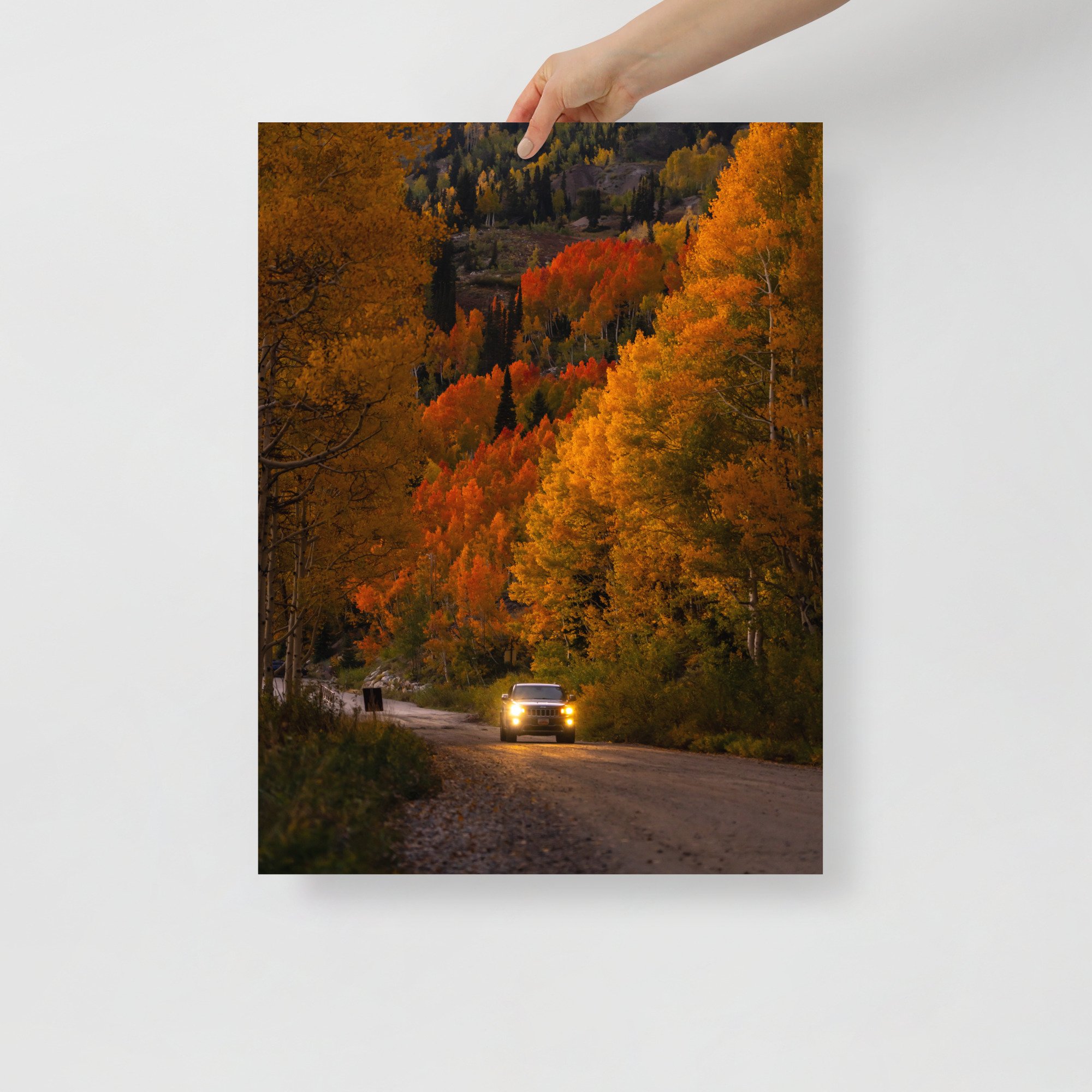 premium-luster-photo-paper-poster-(in)-18x24-front-659841e409e94.jpg