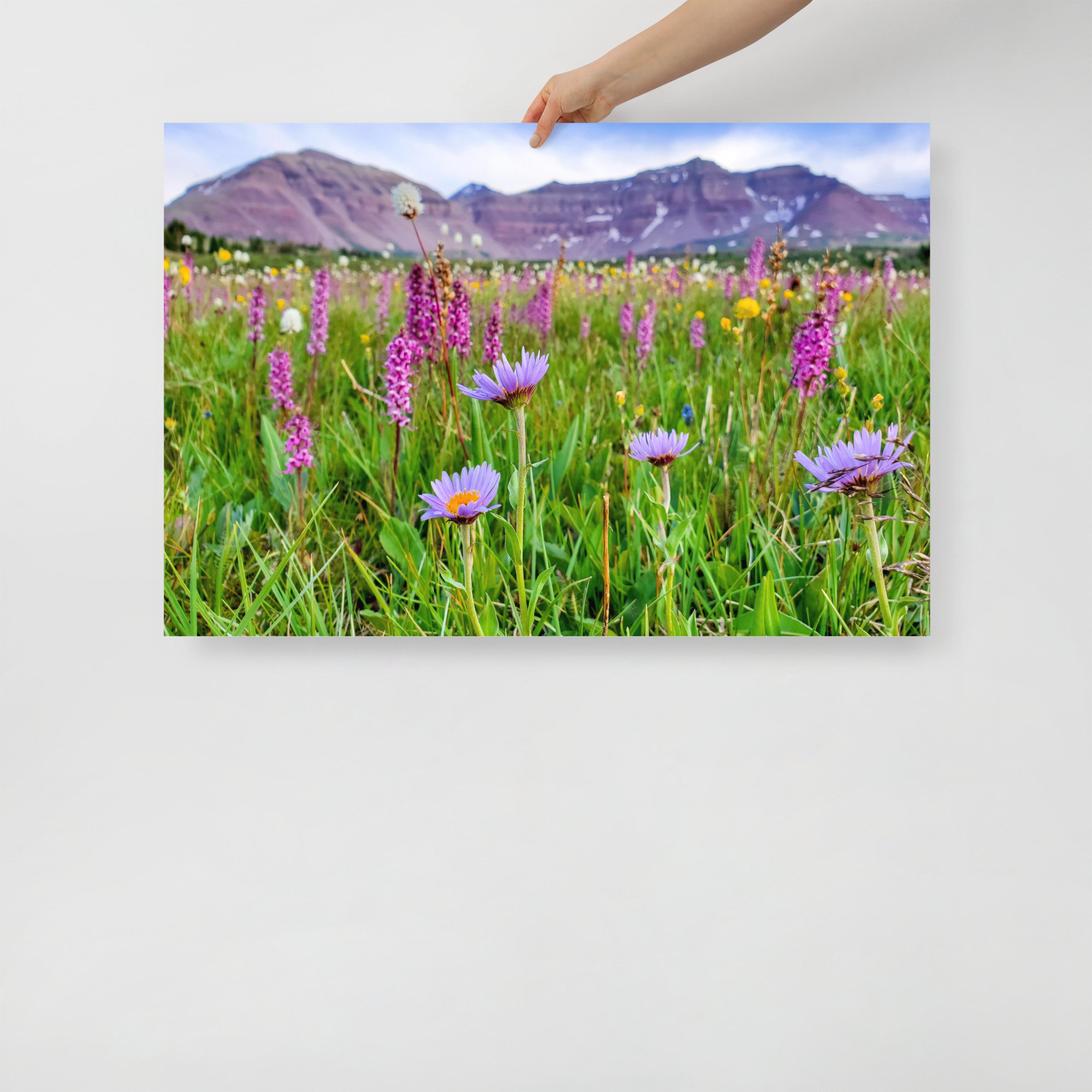 enhanced-matte-paper-poster-(in)-24x36-front-65984889c8c15.jpg