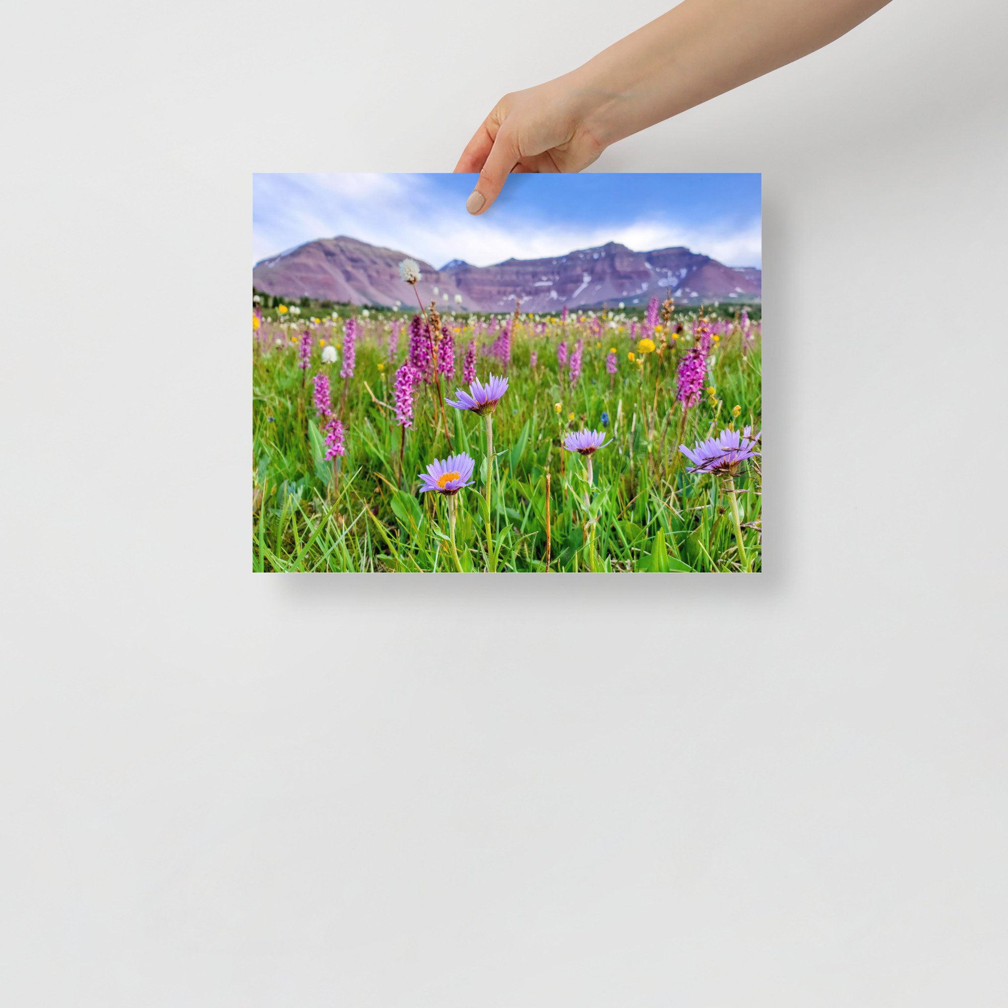 enhanced-matte-paper-poster-(in)-11x14-front-65984889c9a84.jpg