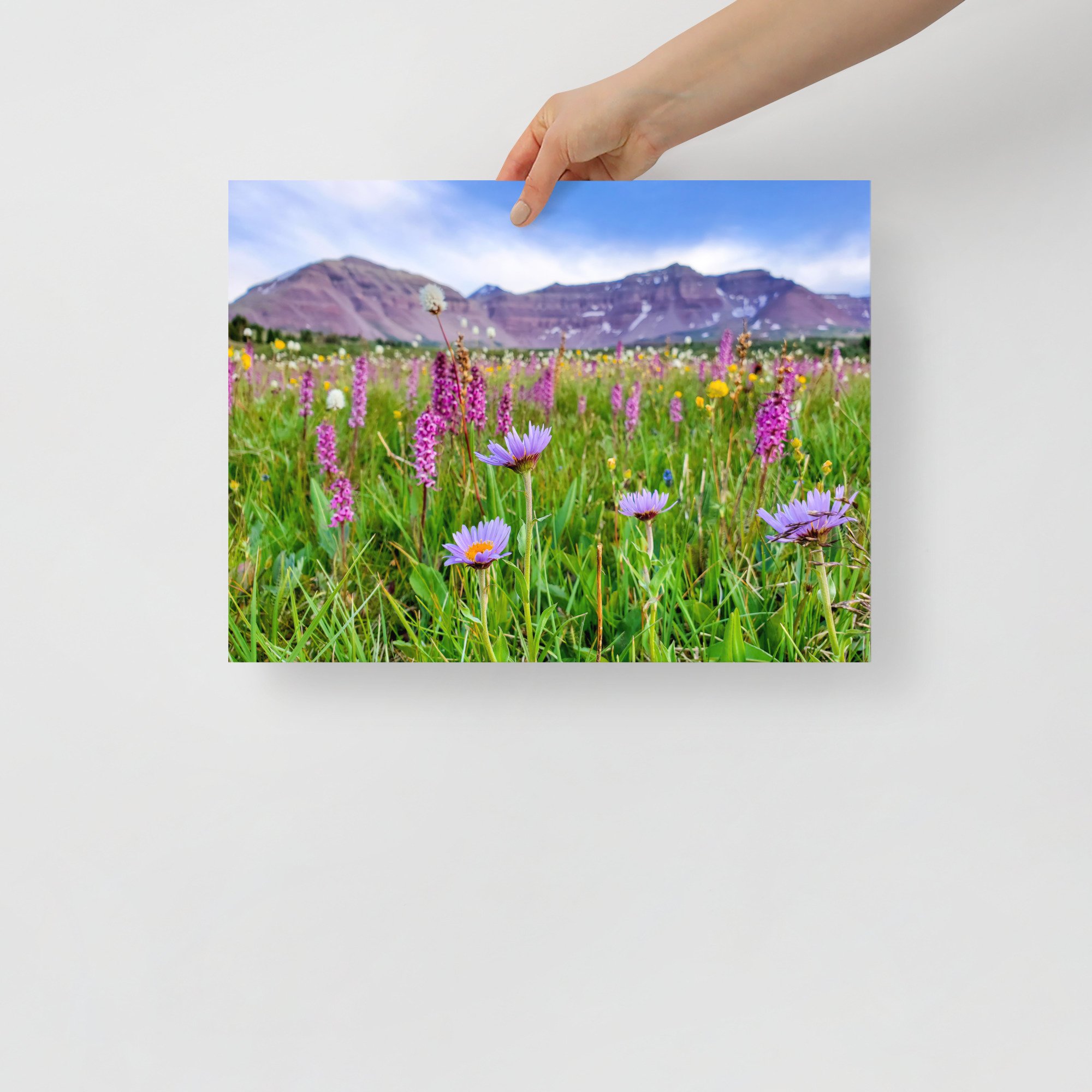 enhanced-matte-paper-poster-(in)-12x16-front-65984889c9b39.jpg