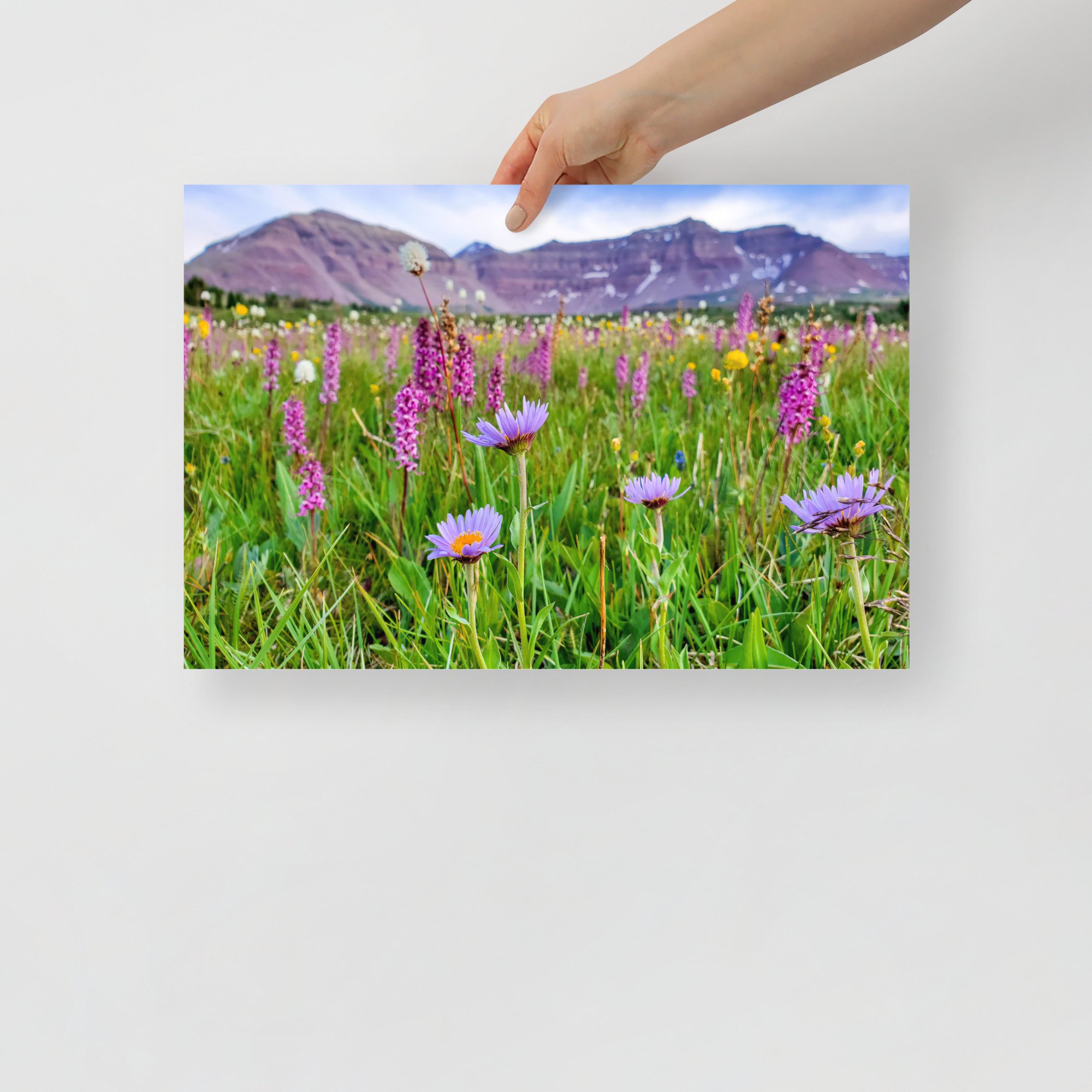 enhanced-matte-paper-poster-(in)-12x18-front-65984889c9bcb.jpg