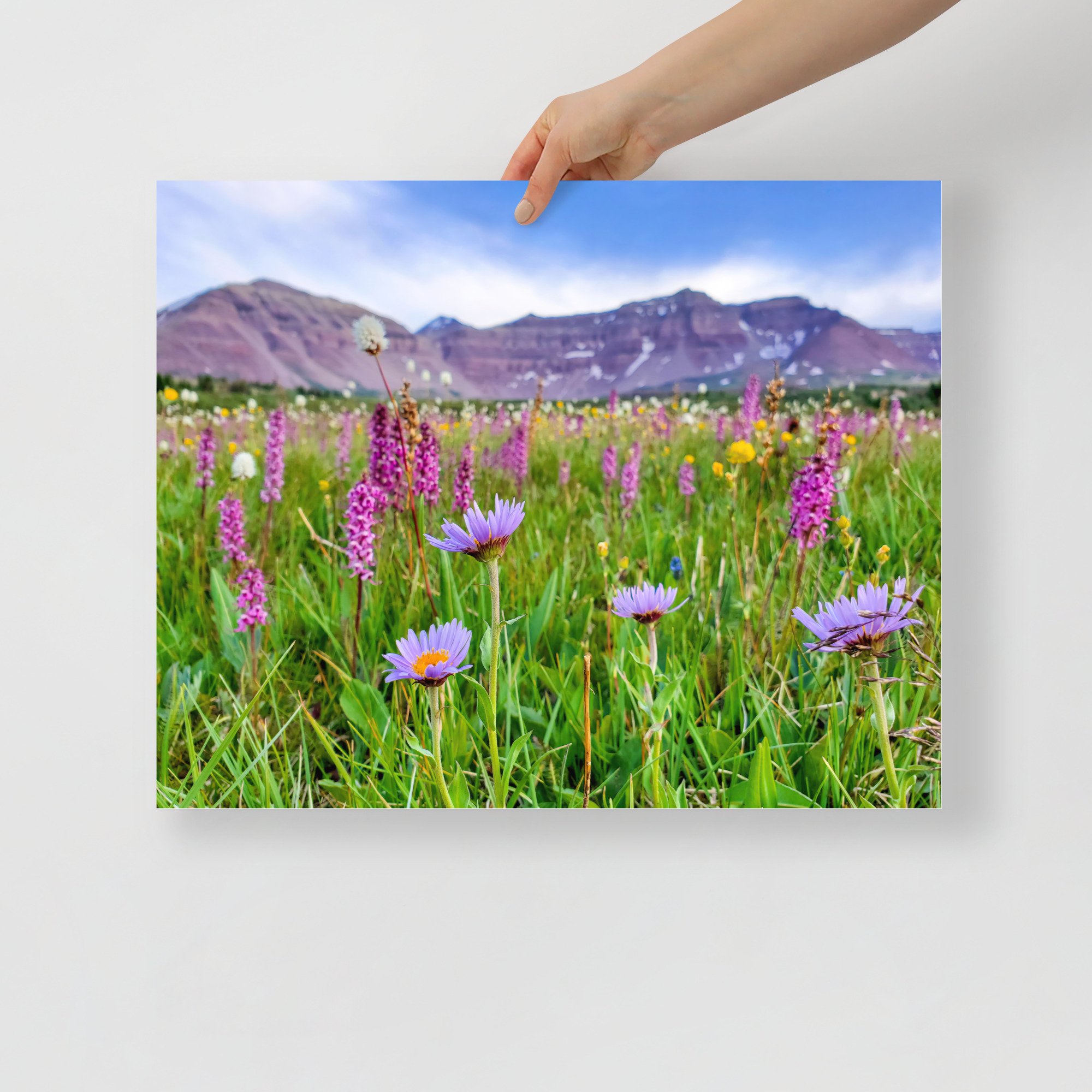 enhanced-matte-paper-poster-(in)-16x20-front-65984889c9c61.jpg