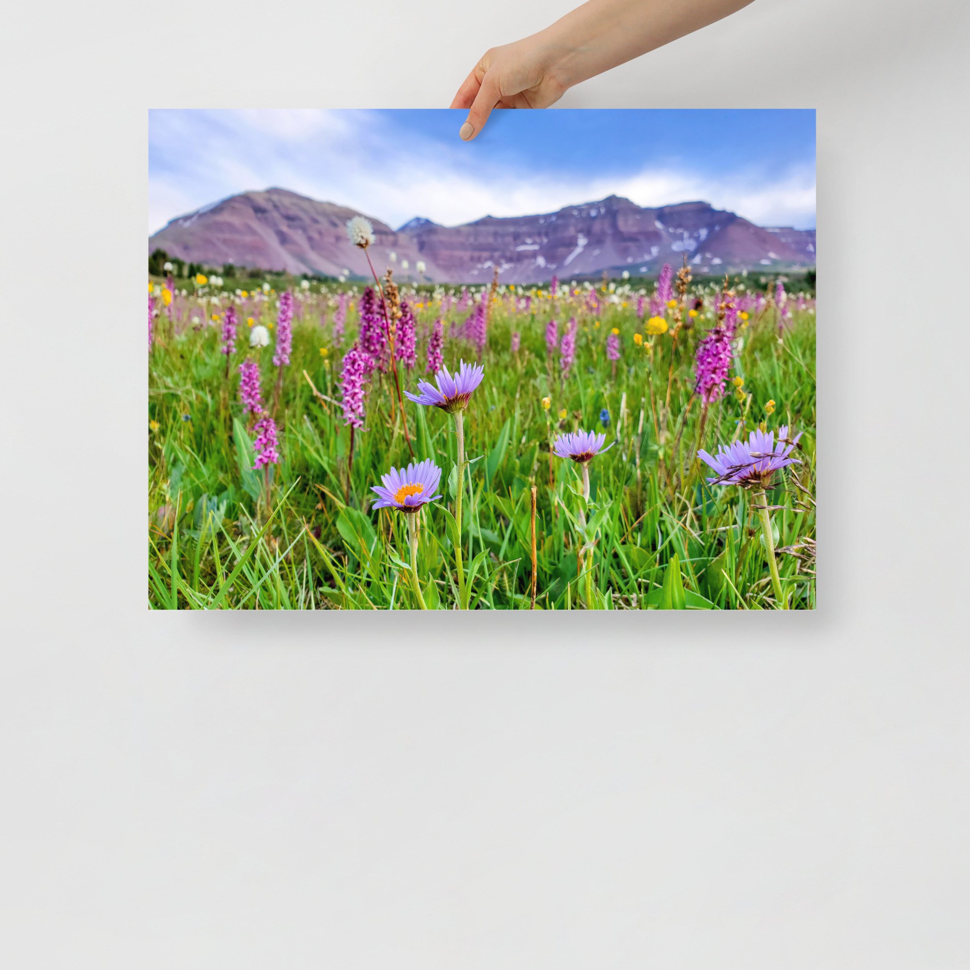 enhanced-matte-paper-poster-(in)-18x24-front-65984889c9cea.jpg