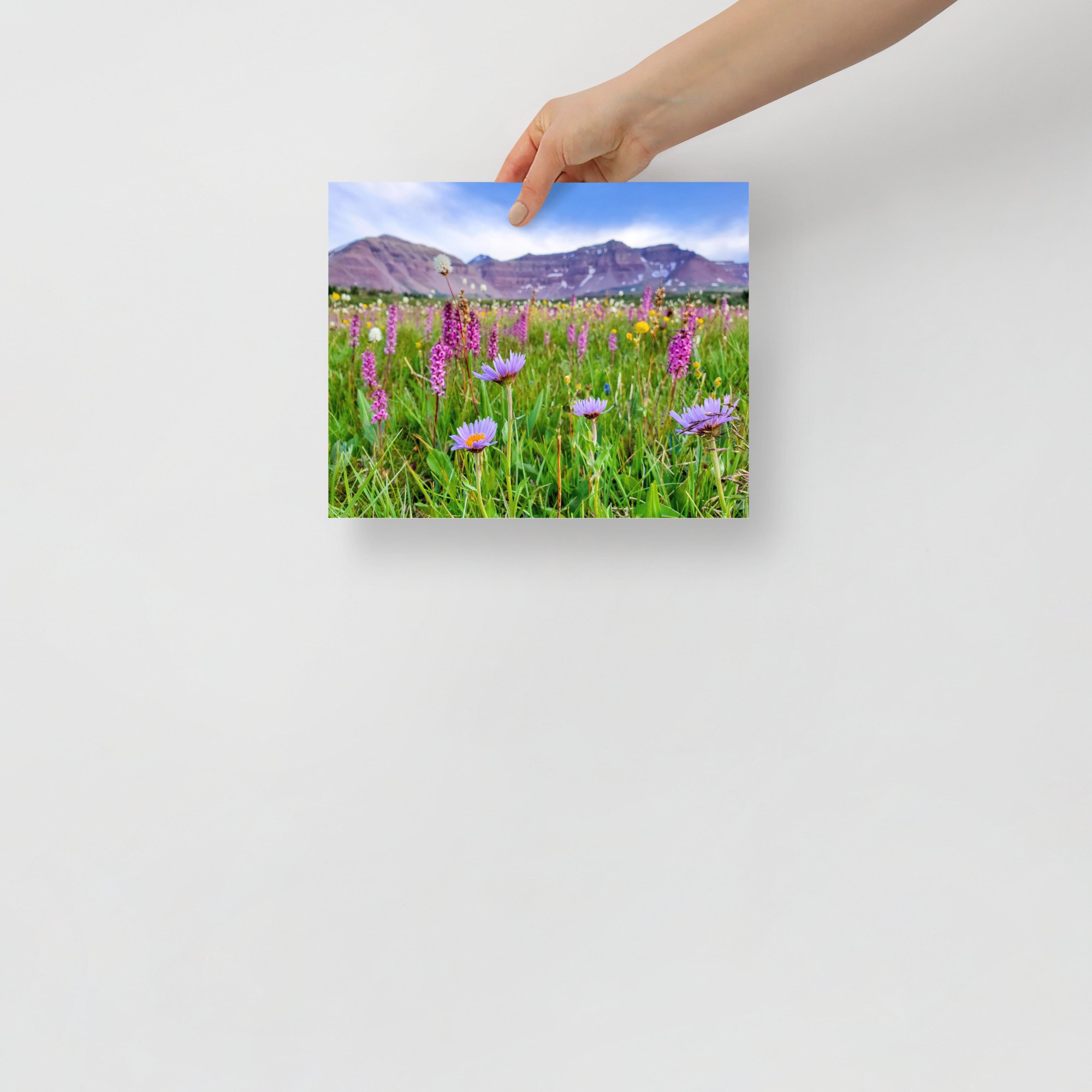 enhanced-matte-paper-poster-(in)-8x10-front-65984889c9e78.jpg