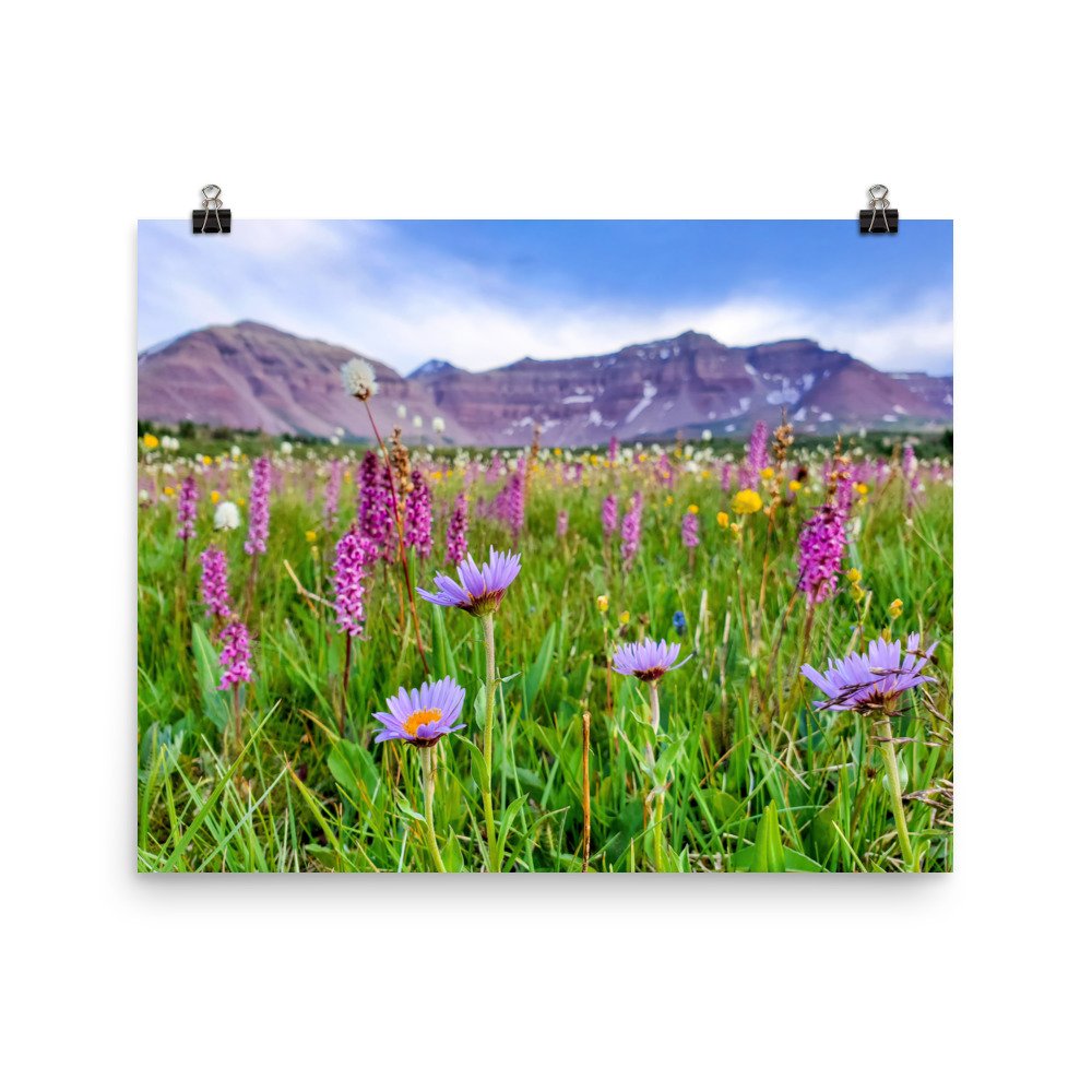 enhanced-matte-paper-poster-(in)-16x20-transparent-65984ad74c73f.jpg