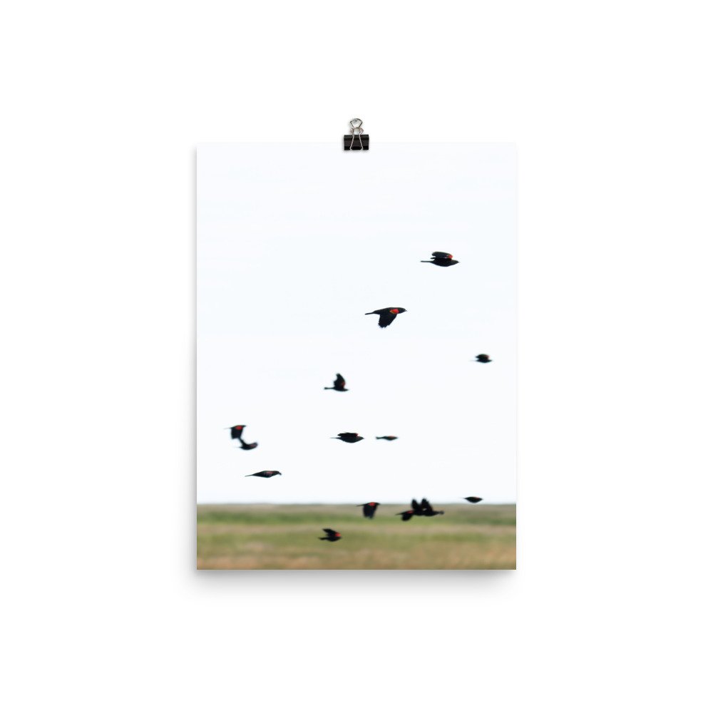 enhanced-matte-paper-poster-(in)-12x16-transparent-65a2e1bad44ad.jpg