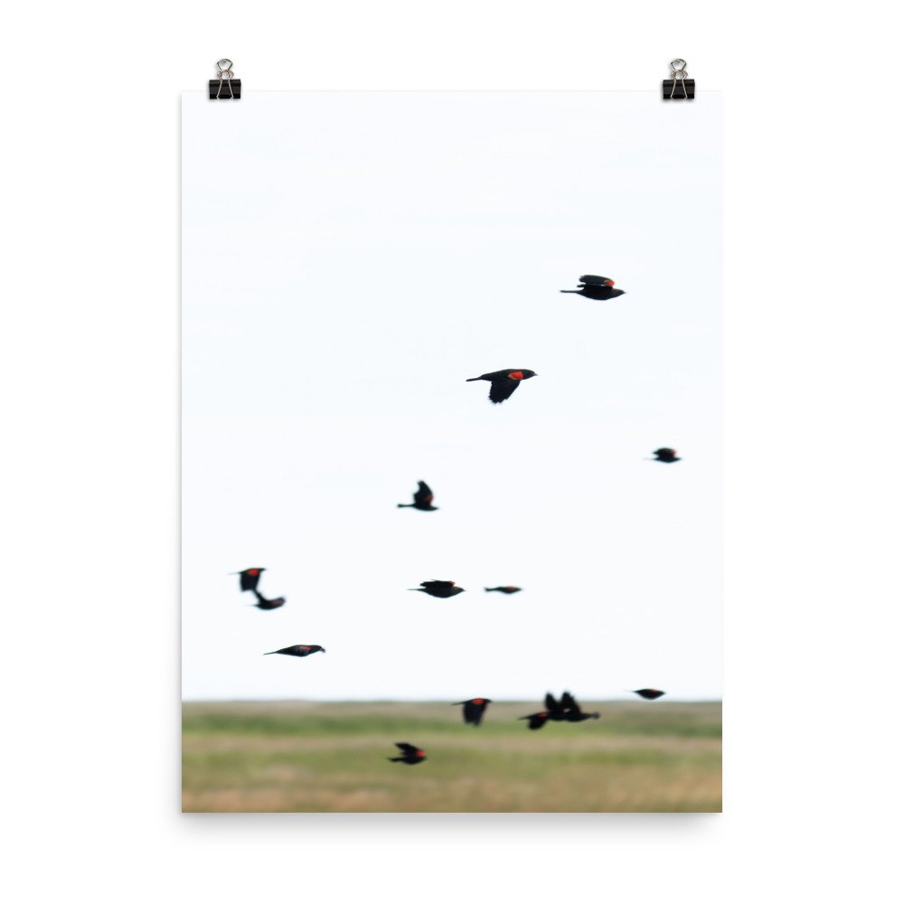 enhanced-matte-paper-poster-(in)-18x24-transparent-65a2e1bad45b4.jpg