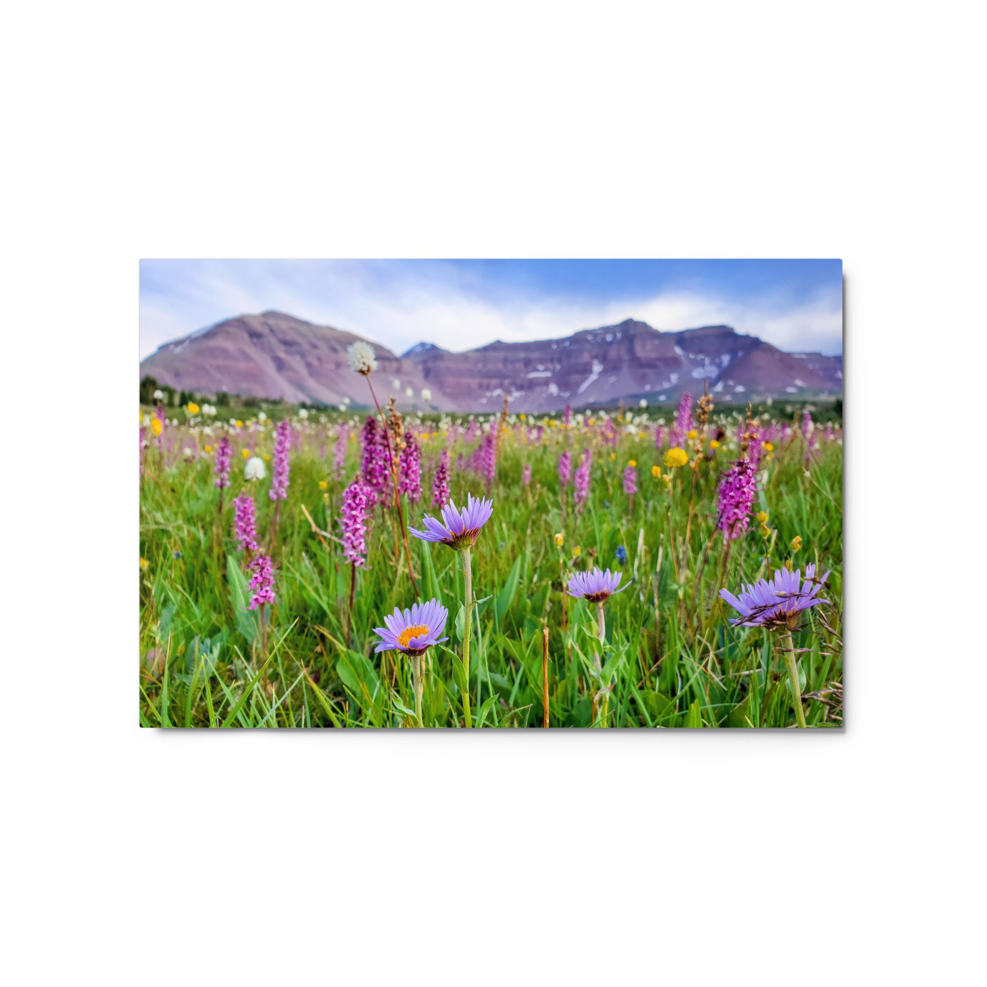 glossy-metal-print-(in)-white-20x30-front-65aafb67476e1.jpg