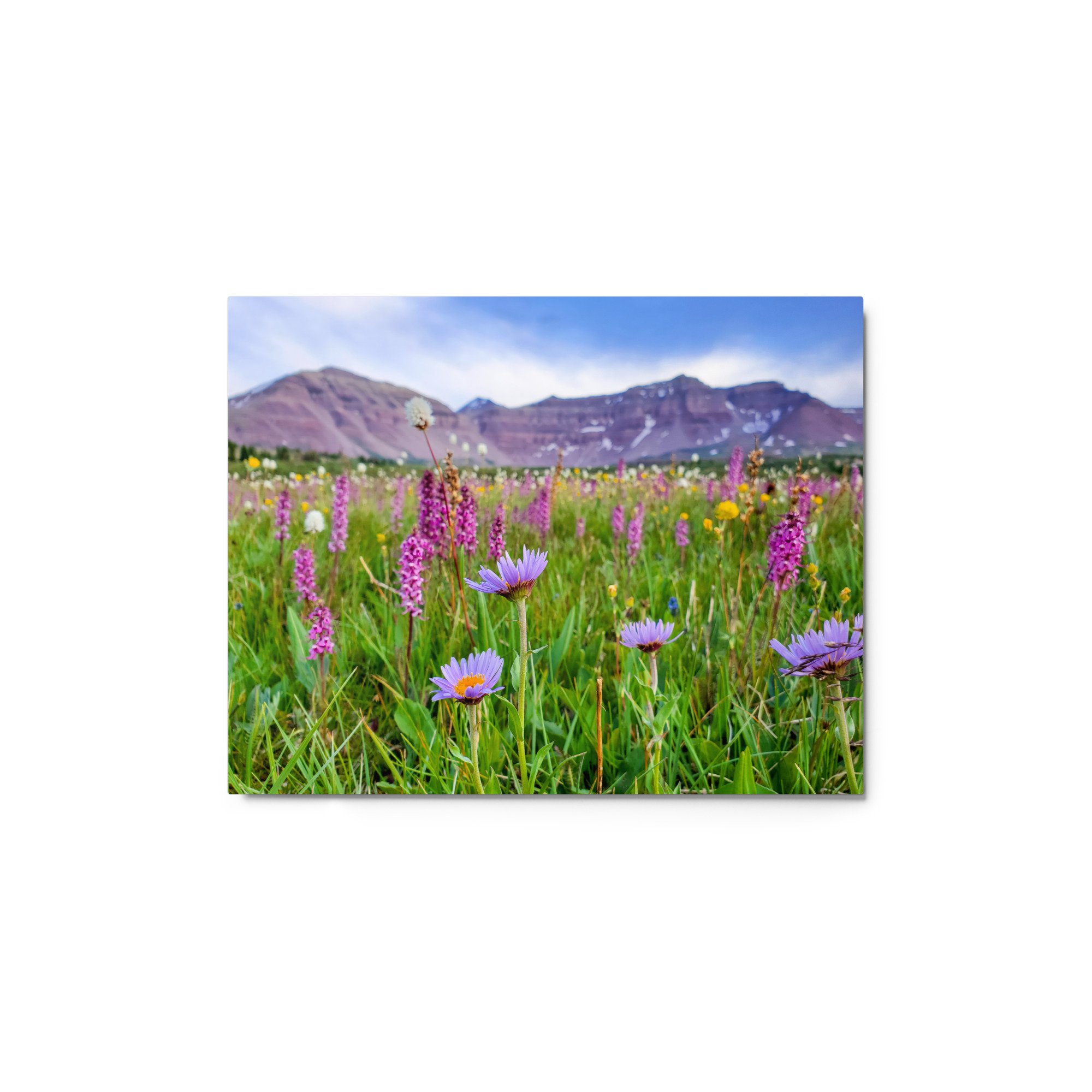 glossy-metal-print-(in)-white-11x14-front-65aafb6748e91.jpg