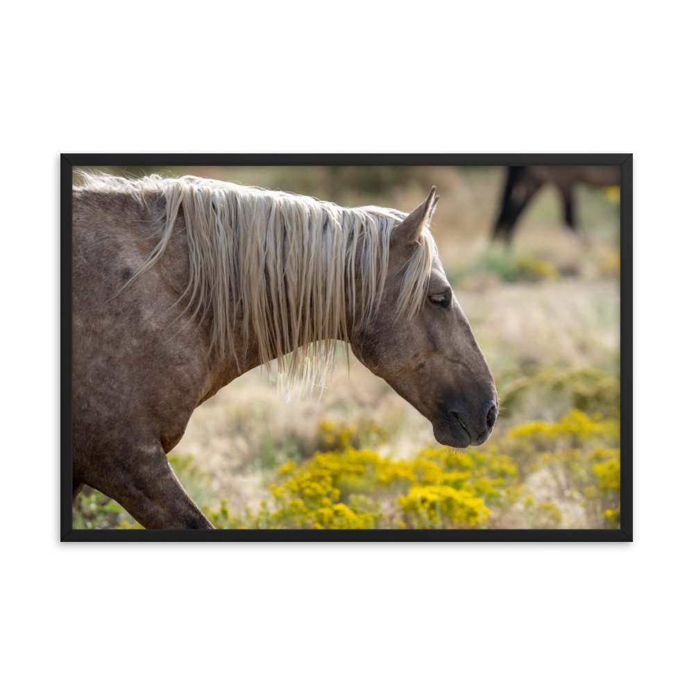 enhanced-matte-paper-framed-poster-(in)-black-24x36-transparent-65f3d137b9c00.jpg