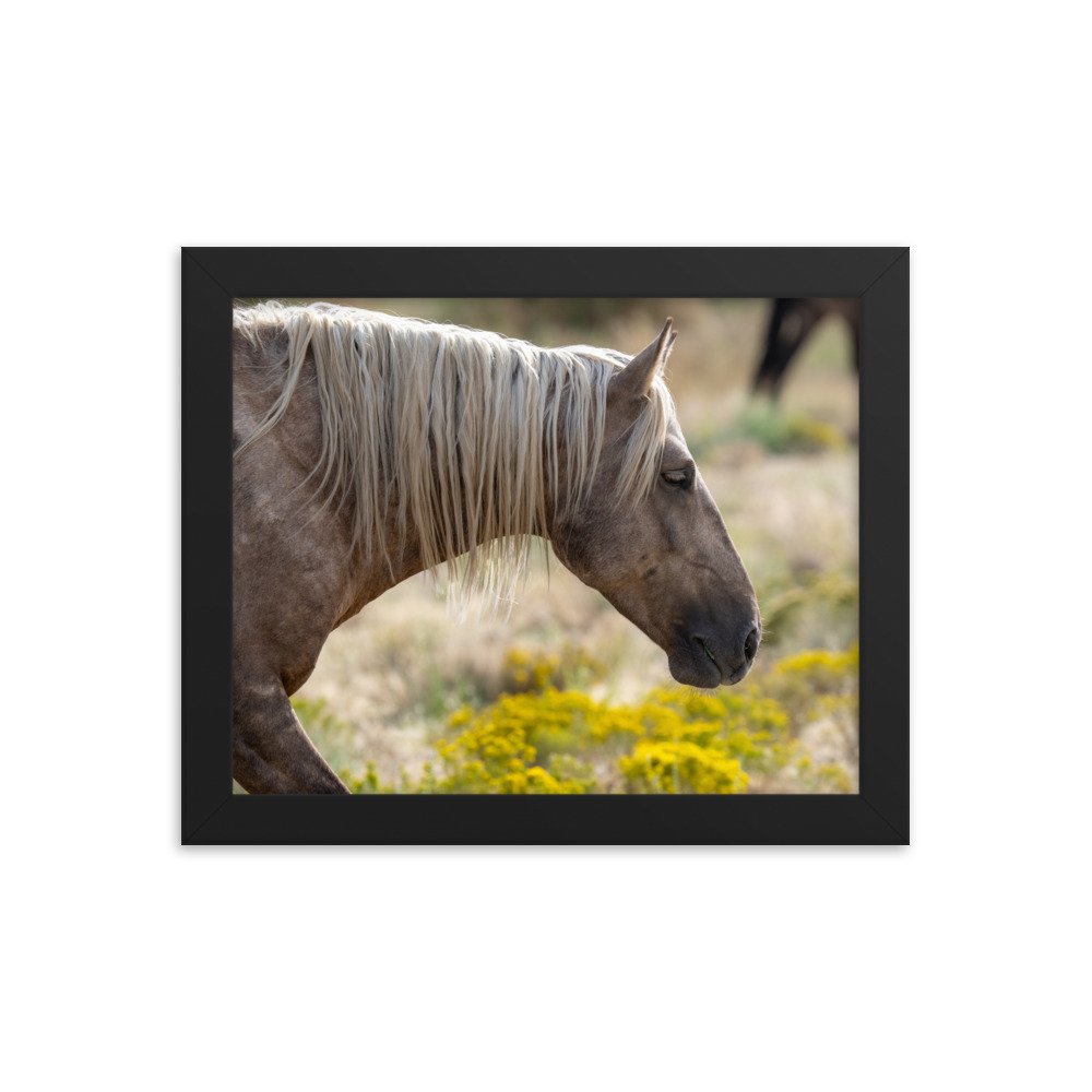 enhanced-matte-paper-framed-poster-(in)-black-8x10-transparent-65f3d137bb6f5.jpg