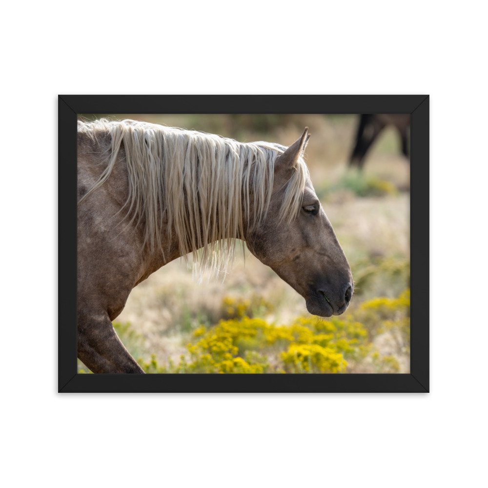enhanced-matte-paper-framed-poster-(in)-black-11x14-transparent-65f3d137bb7cf.jpg