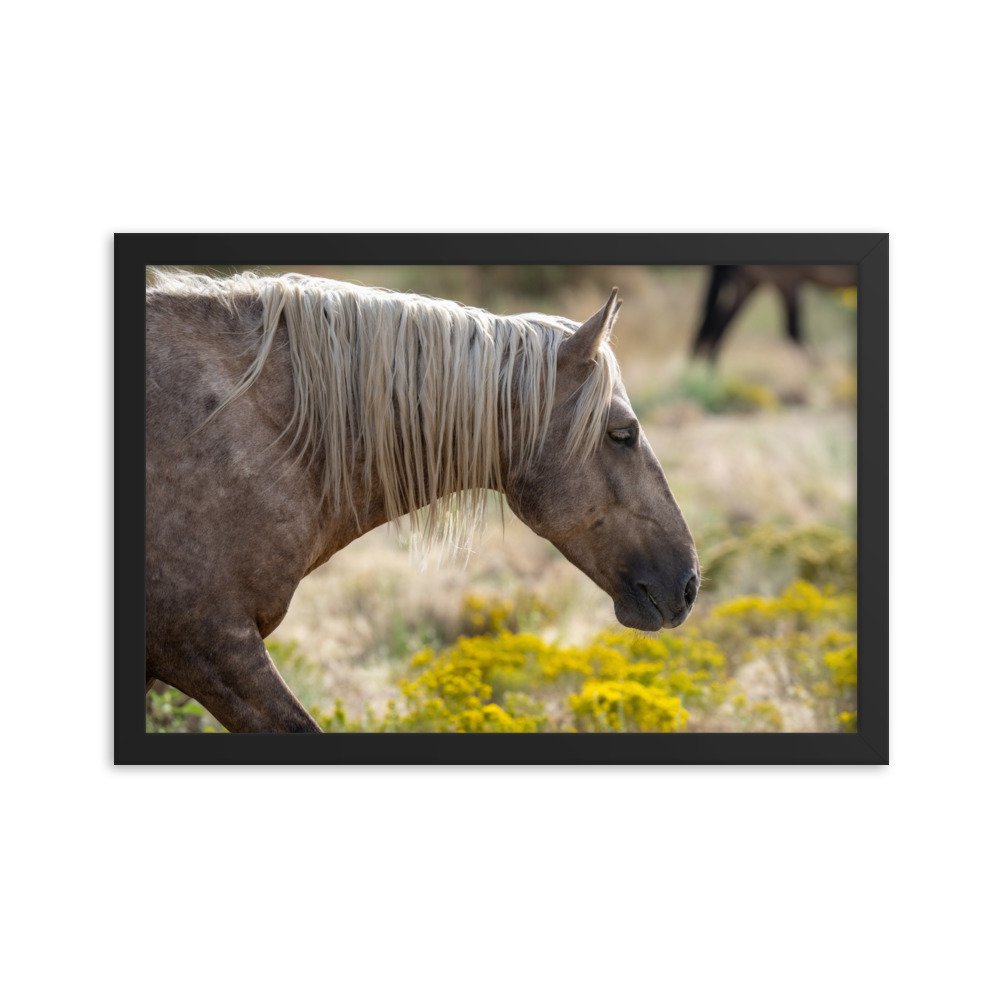 enhanced-matte-paper-framed-poster-(in)-black-12x18-transparent-65f3d137bb8cc.jpg