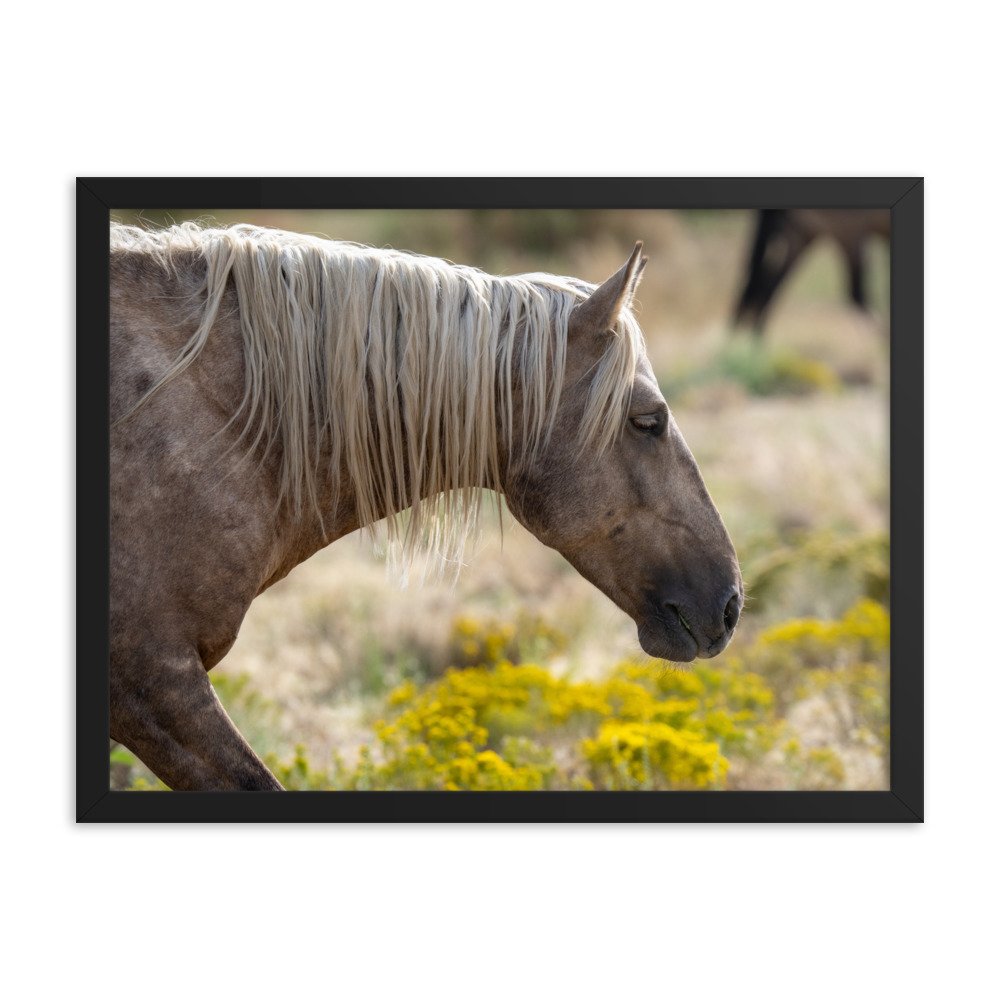 enhanced-matte-paper-framed-poster-(in)-black-18x24-transparent-65f3d137bb99f.jpg