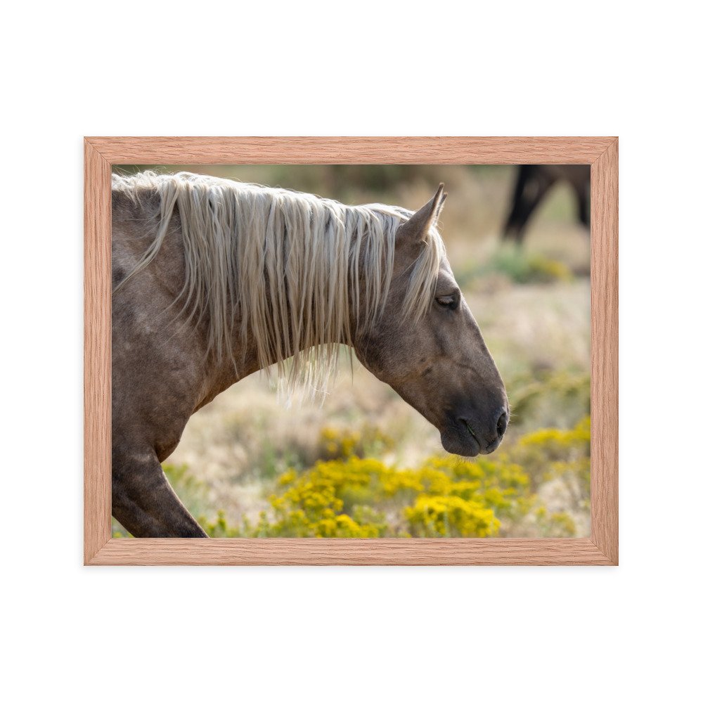 enhanced-matte-paper-framed-poster-(in)-red-oak-11x14-transparent-65f3d137bbadc.jpg