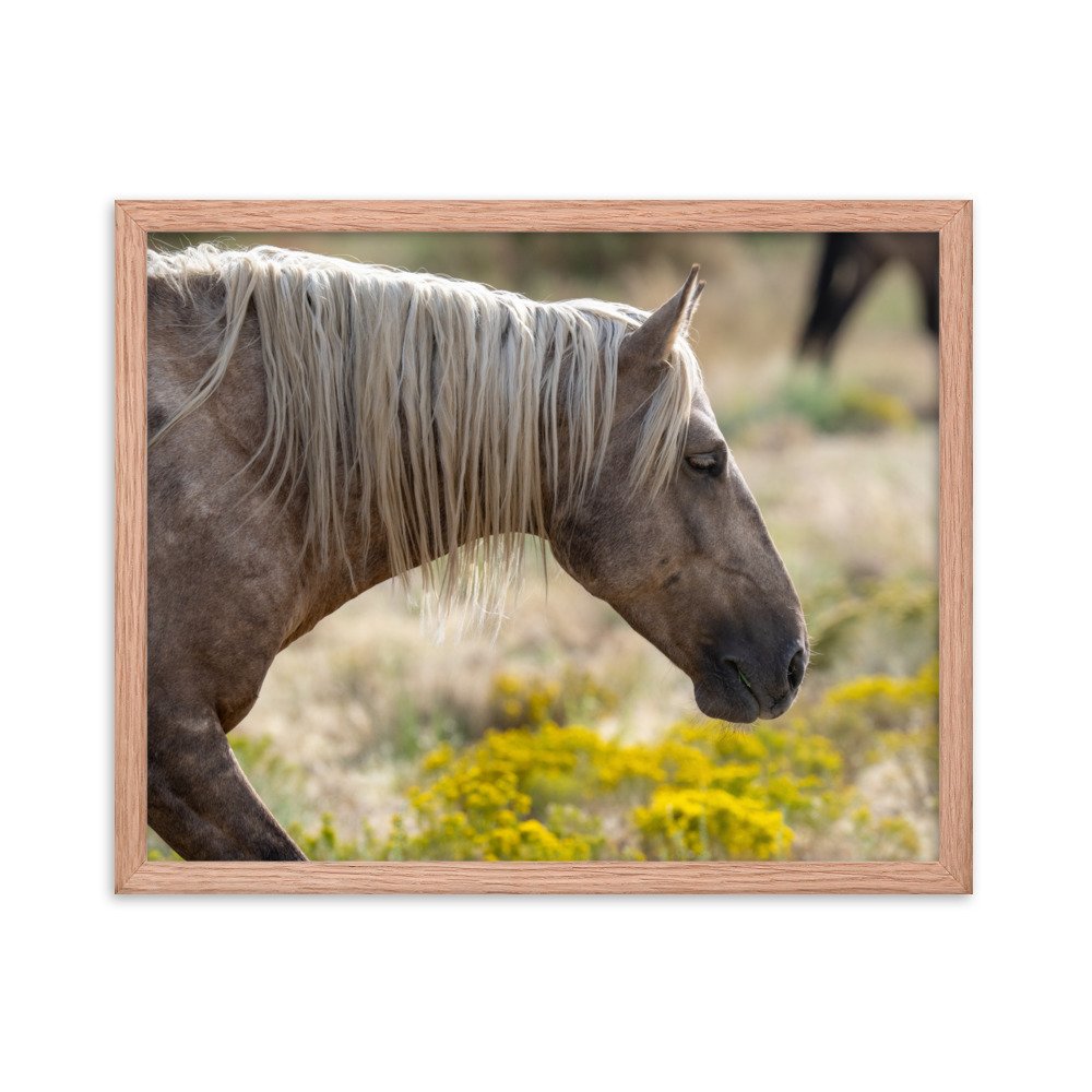 enhanced-matte-paper-framed-poster-(in)-red-oak-16x20-transparent-65f3d137bbcd5.jpg