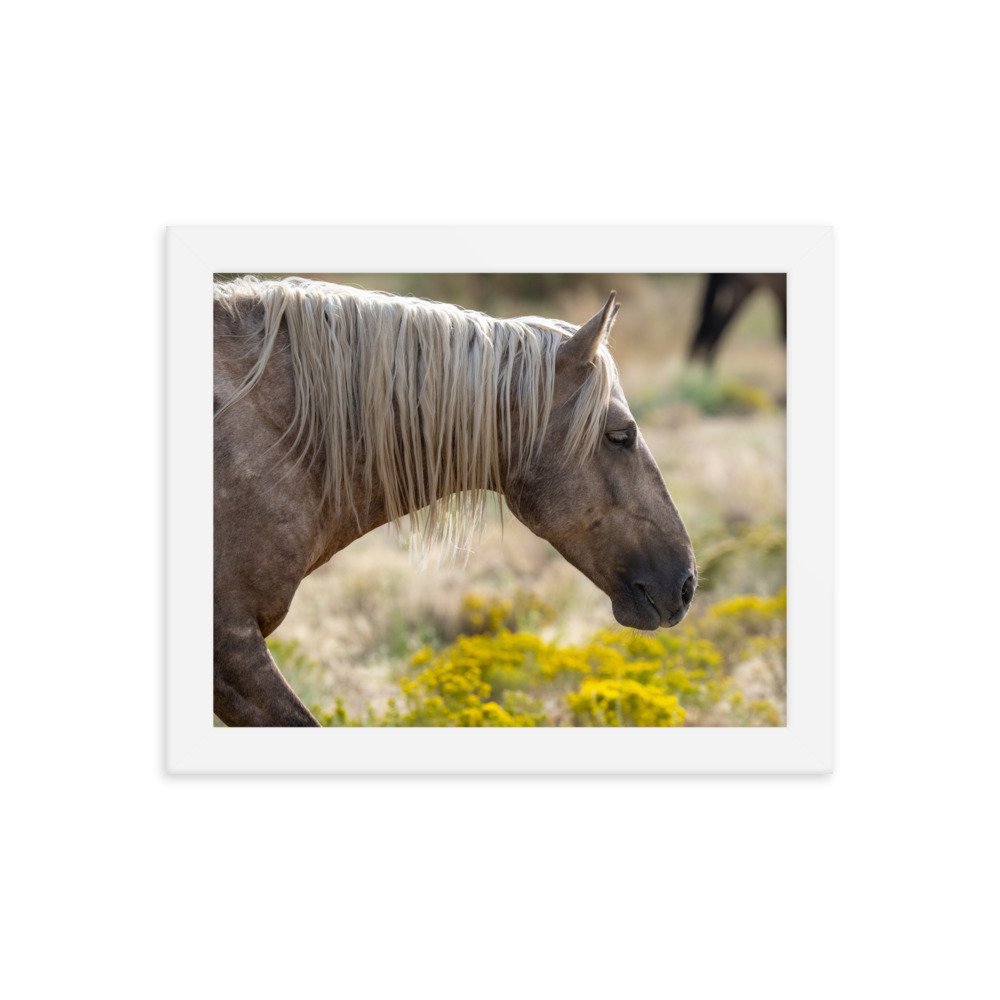 enhanced-matte-paper-framed-poster-(in)-white-8x10-transparent-65f3d137bbe8b.jpg