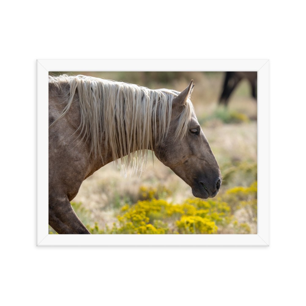 enhanced-matte-paper-framed-poster-(in)-white-11x14-transparent-65f3d137bbf3a.jpg