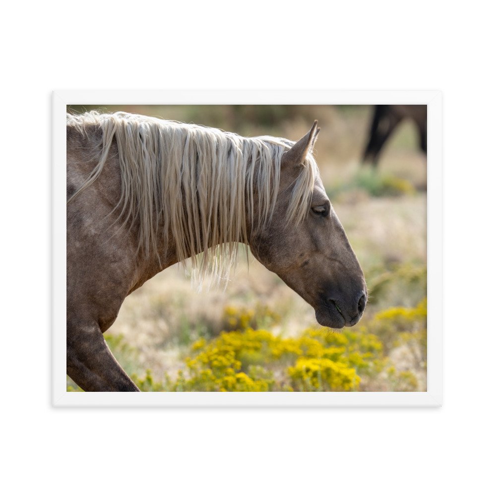 enhanced-matte-paper-framed-poster-(in)-white-16x20-transparent-65f3d137bc134.jpg