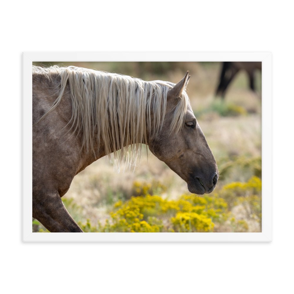 enhanced-matte-paper-framed-poster-(in)-white-18x24-transparent-65f3d137bc1bd.jpg