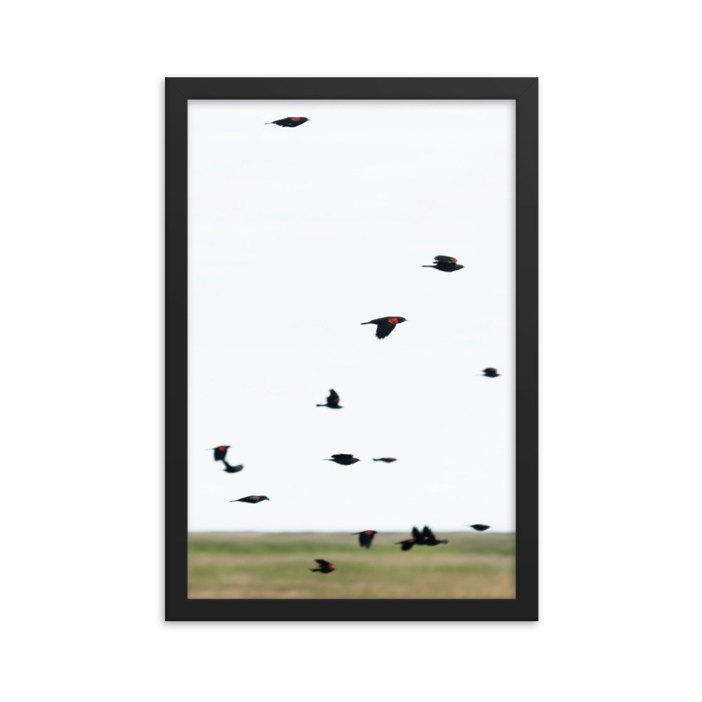 enhanced-matte-paper-framed-poster-(in)-black-12x18-transparent-65f3d4777dbf7.jpg