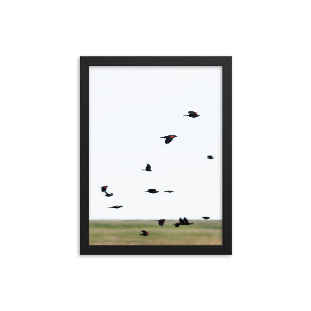 enhanced-matte-paper-framed-poster-(in)-black-12x16-transparent-65f3d4777e72e.jpg