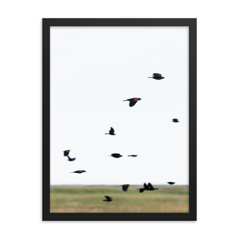 enhanced-matte-paper-framed-poster-(in)-black-18x24-transparent-65f3d4777e869.jpg