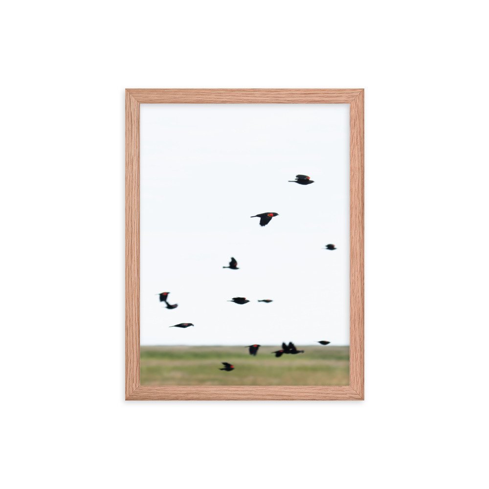 enhanced-matte-paper-framed-poster-(in)-red-oak-12x16-transparent-65f3d4777e8d0.jpg