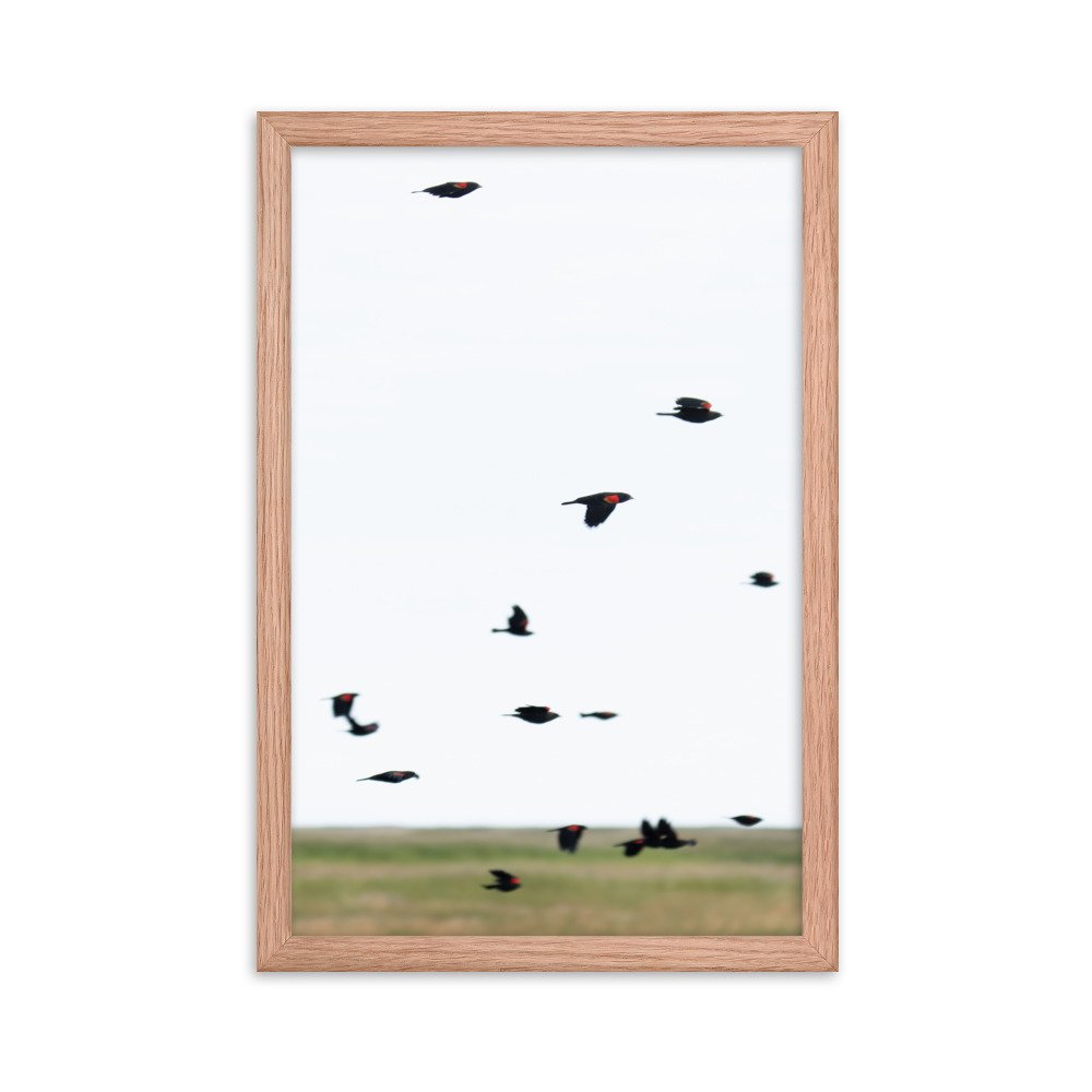 enhanced-matte-paper-framed-poster-(in)-red-oak-12x18-transparent-65f3d4777e935.jpg