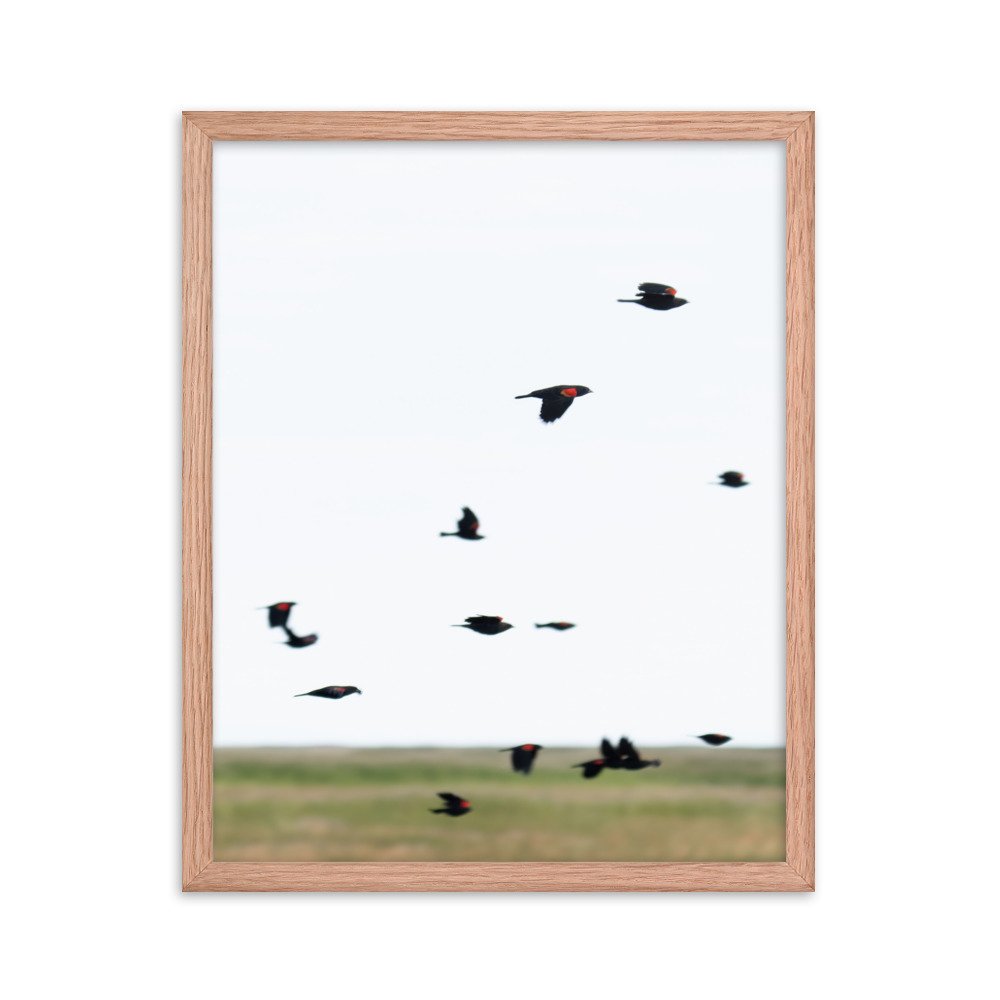 enhanced-matte-paper-framed-poster-(in)-red-oak-16x20-transparent-65f3d4777e998.jpg